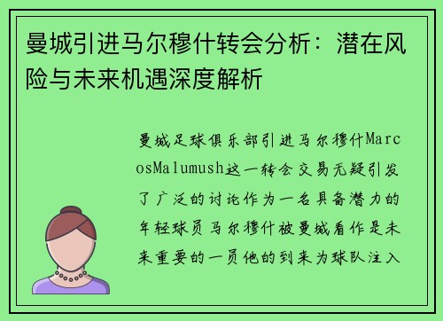 曼城引进马尔穆什转会分析：潜在风险与未来机遇深度解析