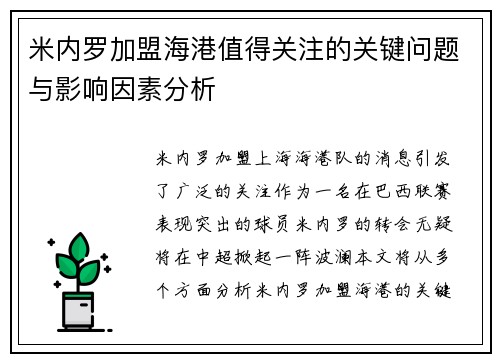 米内罗加盟海港值得关注的关键问题与影响因素分析